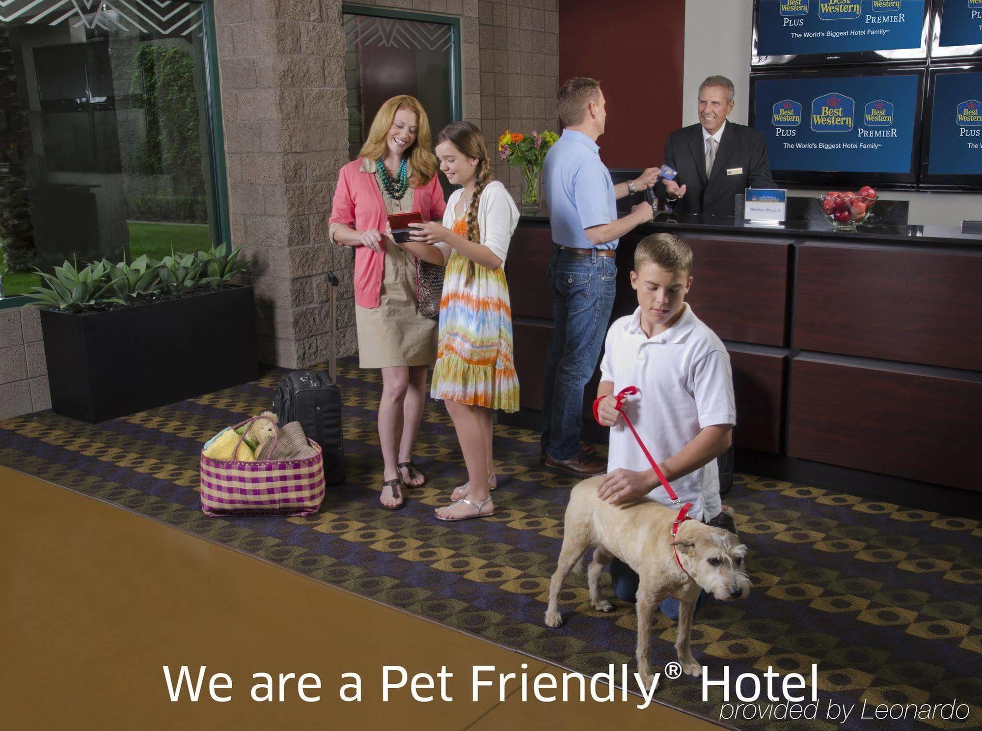 Hotel Surestay By Western